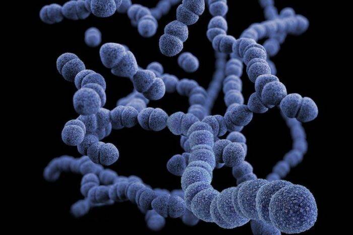 Virus del Papiloma Humano (VPH)